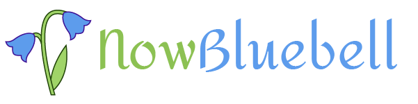 nowbluebell.com